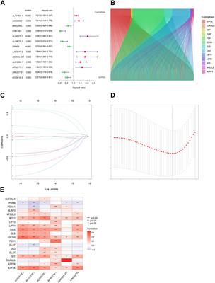 A cuproptosis-related lncRNA signature-based prognostic model featuring on metastasis and drug selection strategy for patients with lung adenocarcinoma